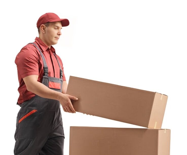 Packers and Movers in India